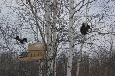 ПОЖАРНЫЕ ОТПРАЗНОВАЛИ НОВОСЕЛЬЕ