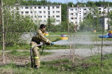 НА ЗЕЛЕНОМ ОСТРОВЕ ПРОШЕЛ ПРАЗДНИК СМЕЛЫХ, ЛОВКИХ И ОТВАЖНЫХ