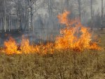 В СРЕДНЕКАНСКОМ И В ОМСУКЧАНСКОМ ГОРОДСКИХ ОКРУГАХ СОХРАНИТЬСЯ ВЫСОКАЯ ПОЖАРНАЯ ОПАСНОСТЬ